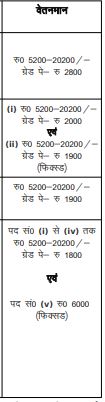 Allahabad High Court Vacancy 2024